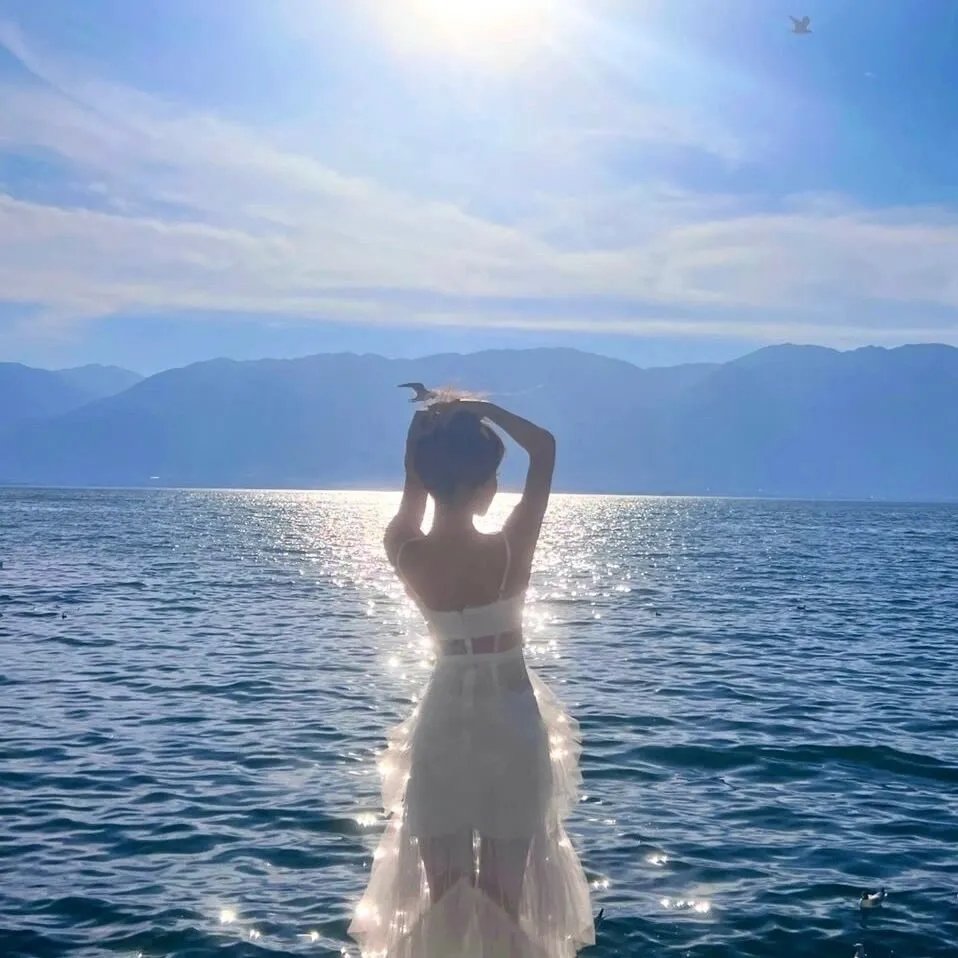 维拉的一生海报