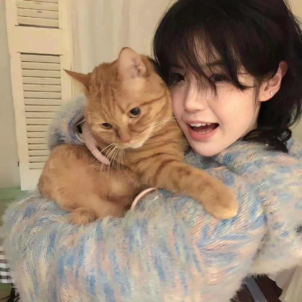 泰坦尼克沉没之迷